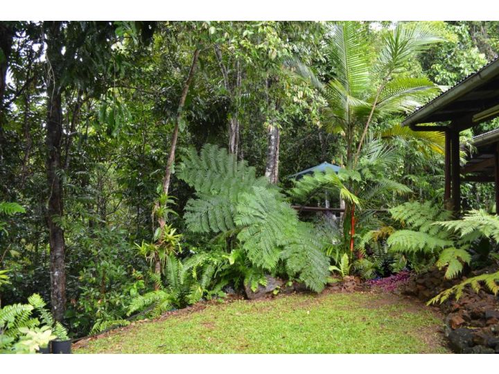 Tropical Bliss bed and breakfast Bed and breakfast, Queensland - imaginea 12