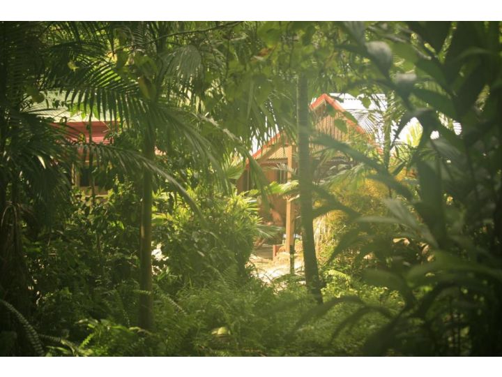 Tropical Bliss bed and breakfast Bed and breakfast, Queensland - imaginea 20