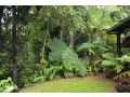 Tropical Bliss bed and breakfast Bed and breakfast, Queensland - thumb 12