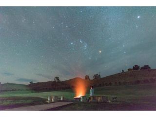 Truffle Lodge Dinner Bed Breakfast Glamping Campsite, Tasmania - 4