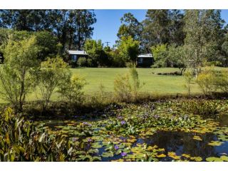 Tuckeroo Cottages & Gardens Bed and breakfast, Queensland - 5