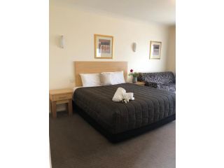 Turners Vineyard Motel Hotel, Orange - 4