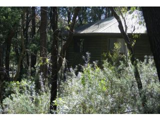 Twin Falls Bush Cottages Guest house, New South Wales - 2