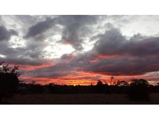 Twodogfolly at Creeklands Apartment, Armidale - 4