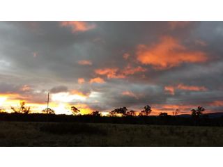 Twodogfolly at Creeklands Apartment, Armidale - 2