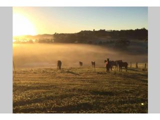 Unique Farm Escape in the Sunshine Coast Hinterland Guest house, Queensland - 5