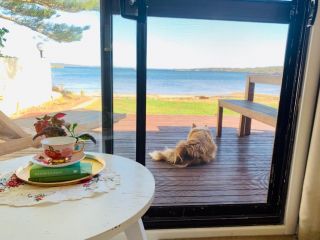 Vandy's shack at Mount Dutton Bay - ideal for couples and small families Guest house, South Australia - 3