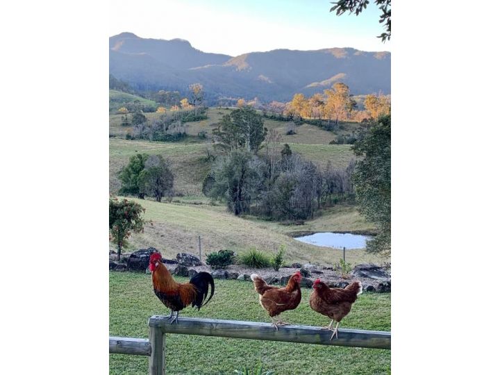 Views and Moos Campsite, New South Wales - imaginea 19