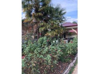 Villa Asolana Apartment, Myrtleford - 3