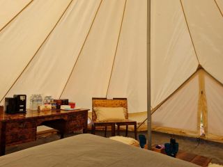 *** VIP glamping in the centre of the Riverland *** Campsite, South Australia - 3