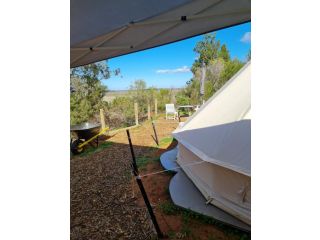 *** VIP glamping in the centre of the Riverland *** Campsite, South Australia - 5