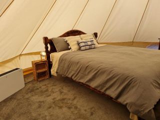 *** VIP glamping in the centre of the Riverland *** Campsite, South Australia - 4