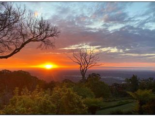 Vista Views Apartment, Mount Dandenong - 2