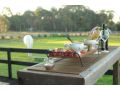 Wagtail Nest Country Retreat - Longford Vic 3851 Bed and breakfast, Sale - thumb 2
