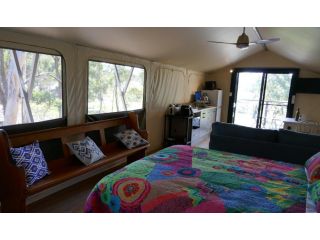 Wallabies Rest Campsite, New South Wales - 5