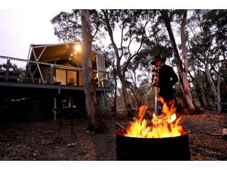 Wallabies Rest Campsite, New South Wales - 2