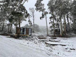 Wallaby Cabin Guest house, Crackenback - 5
