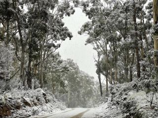 Wallaby Cabin Guest house, Crackenback - 1