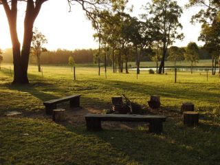 Wallaby Cottage - cute Accom in bushland setting Guest house, Ellalong - 1
