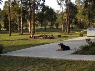 Wallaby Cottage - cute Accom in bushland setting Guest house, Ellalong - 4