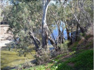 Wallies Cottage On The Darling Guest house, New South Wales - 1