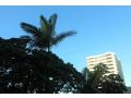 Warringa Surf Holiday Apartments Aparthotel, Gold Coast - thumb 12