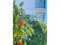 Agalari Holidays House in Surfers Paradise with Pontoon, Pool Guest house, Gold Coast - thumb 14