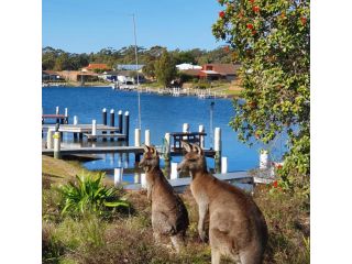 Waterfront for the whole family Guest house, Sussex inlet - 4