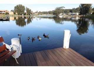 Waterfront on Plover Guest house, Sussex inlet - 3