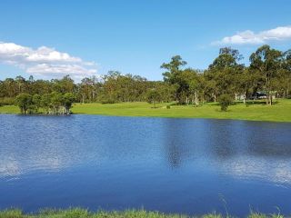 Kangaroo Cottage - cute Accom in bushland setting Guest house, Ellalong - 2