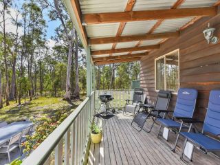 Kangaroo Cottage - cute Accom in bushland setting Guest house, Ellalong - 3