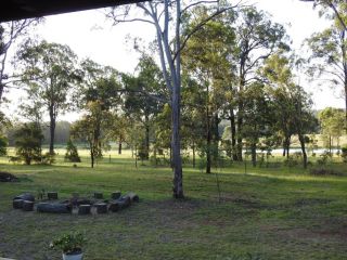 Kangaroo Cottage - cute Accom in bushland setting Guest house, Ellalong - 4