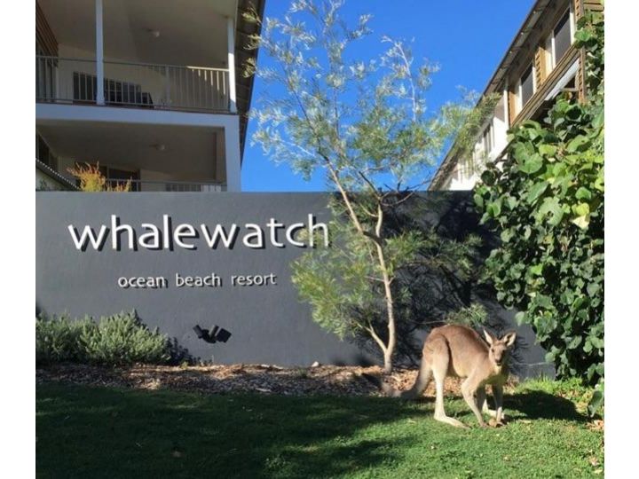 Whale Watch Ocean Beach Resort Aparthotel, Point Lookout - imaginea 2