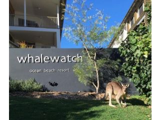 Whale Watch Ocean Beach Resort Aparthotel, Point Lookout - 2