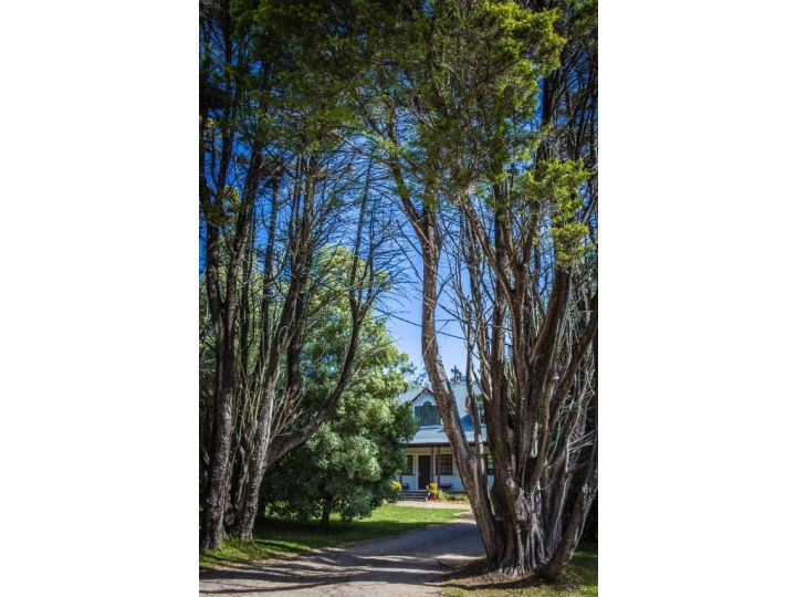 Whispering Pines Cottages Hotel, Wentworth Falls - imaginea 18