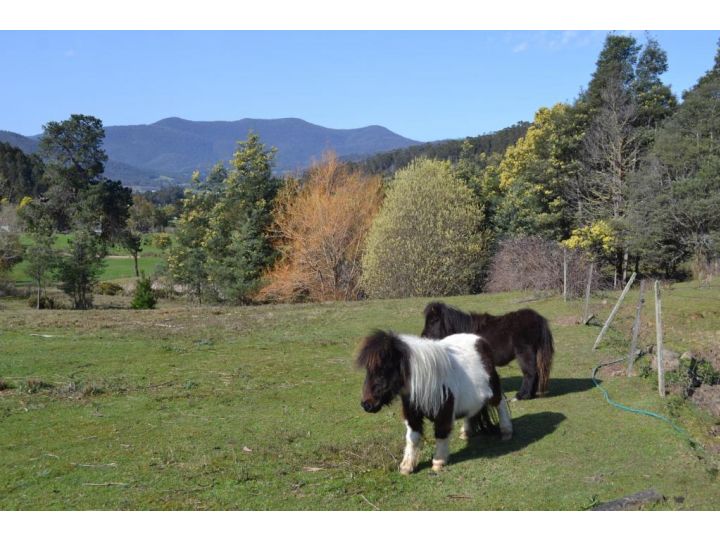 Whispering Spirit Holiday Cottages & Mini Ponies Hotel, Tasmania - imaginea 1