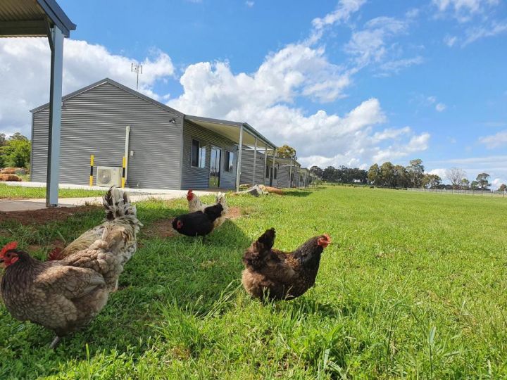 Wilkens Estate Farmstay- Country experience with modern conveniences, cooling, heating, free WIFI and pet friendly Farm stay, Millthorpe - imaginea 2