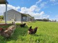 Wilkens Estate Farmstay- Country experience with modern conveniences, cooling, heating, free WIFI and pet friendly Farm stay, Millthorpe - thumb 2