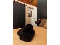 Wanderers Willow Chalet 9A Double Room Hotel, Queensland - thumb 10