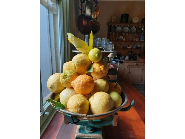 Windsor House B&B Bed and breakfast, Walhalla - imaginea 14