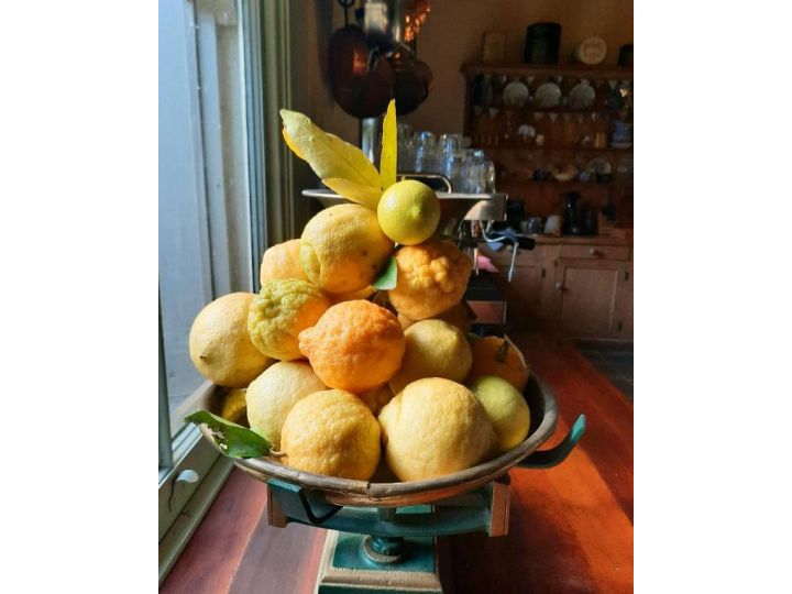Windsor House B&B Bed and breakfast, Walhalla - imaginea 10