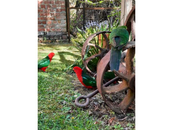 Windsor House B&B Bed and breakfast, Walhalla - imaginea 3
