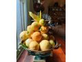 Windsor House B&B Bed and breakfast, Walhalla - thumb 10