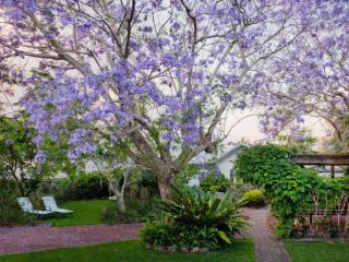 Witts Oasis Two traditional Tea Gardens cottages Guest house, Tea Gardens - 2