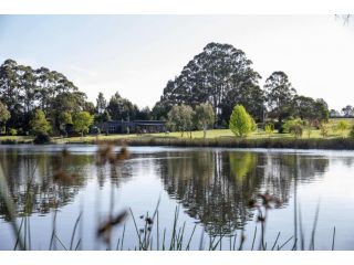 Wombat Edge Guest house, Lyonville - 1