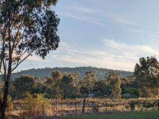 Womburra Vineyard Tiny Stay Guest house, New South Wales - 5