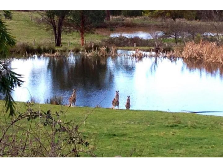 Australian Home Away @ Wonga Park Brushy Creek Villa, Victoria - imaginea 17