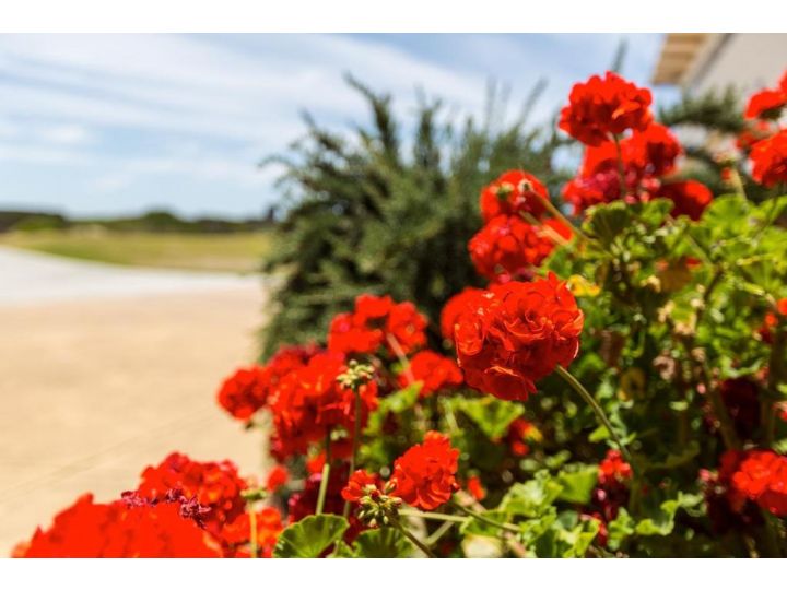 Wytonia Beachfront Accommodation Hotel, Port Fairy - imaginea 8