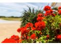 Wytonia Beachfront Accommodation Hotel, Port Fairy - thumb 8