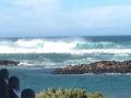 Wytonia Beachfront Accommodation Hotel, Port Fairy - thumb 9